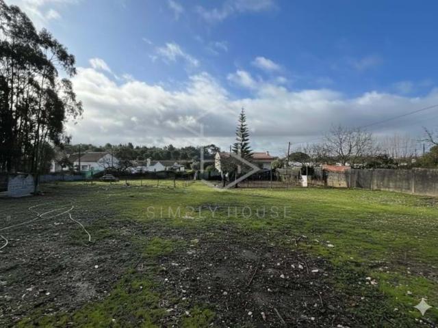 Terrenos Alcobaça Leiria DLS98696261