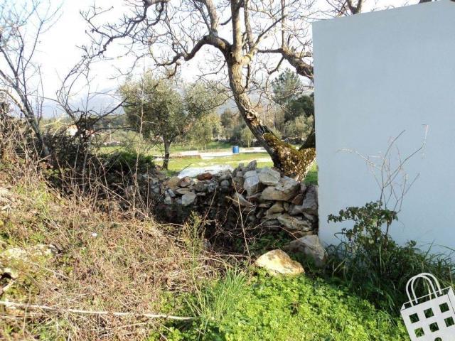 Terrenos Alcobaça Leiria DS70842598