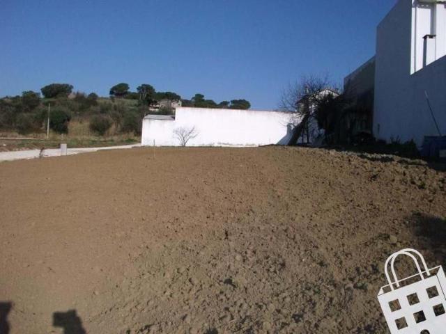 Terrenos Alcobaça Leiria DS70842602