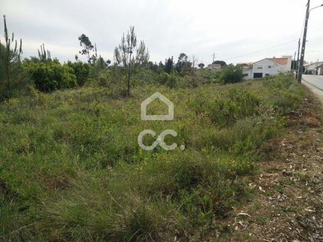 Terrenos Alcobaça Leiria DS81268270