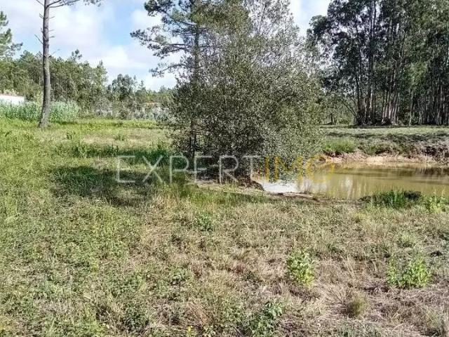 Terrenos Alcobaça Leiria DS91598538