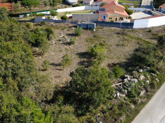 Terrenos Alcobaça Leiria DS101473247