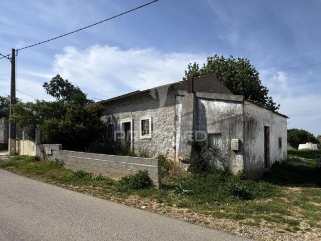 Terrenos Alcobaça Leiria DS102467402