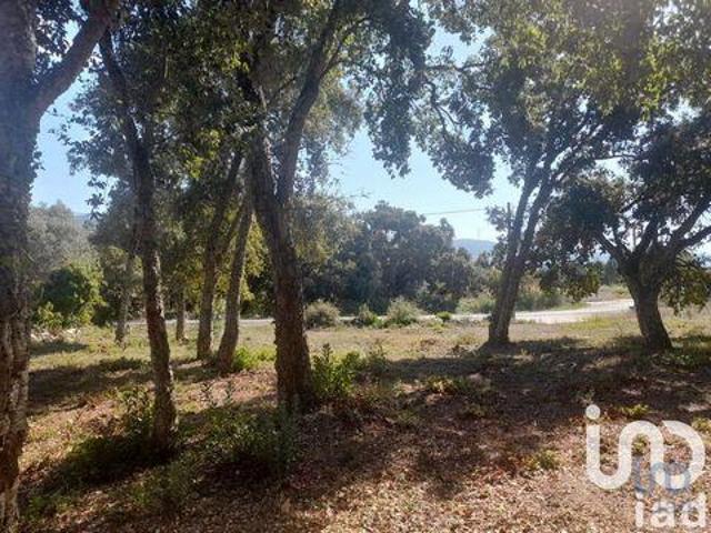 Terrenos Alcobaca Leiria DLS95479633