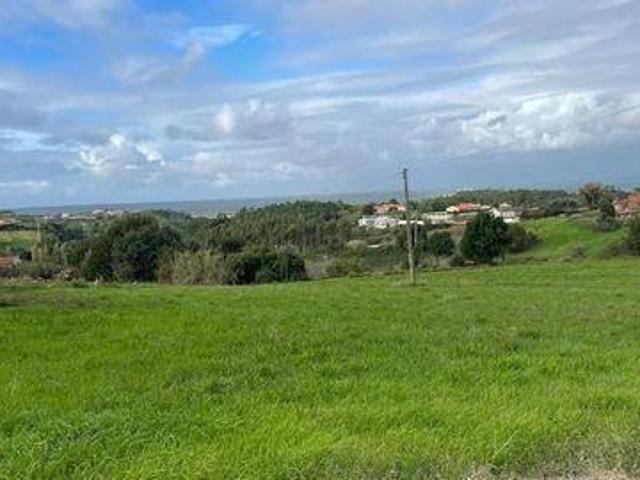 Terrenos Alcobaca Leiria DLS96325339
