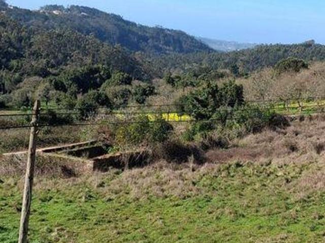 Terrenos Alcobaca Leiria DLS99608002