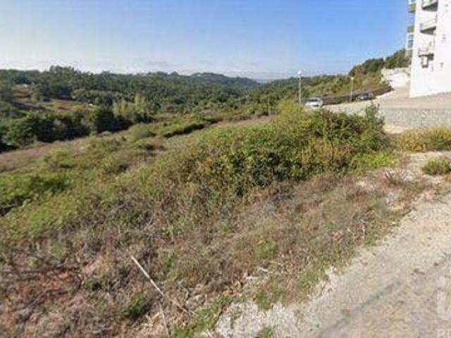 Terrenos Alcobaca Leiria DLS99315208