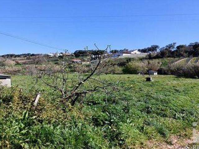 Terrenos Alcobaca Leiria DS91397221