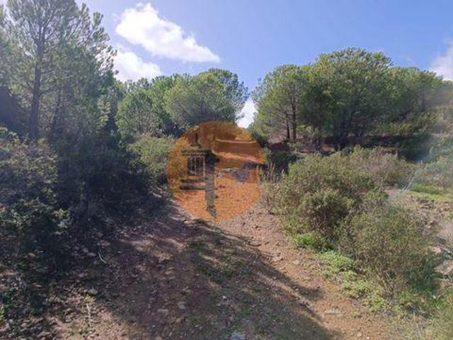 Terrenos Alcoutim Faro DS96316286