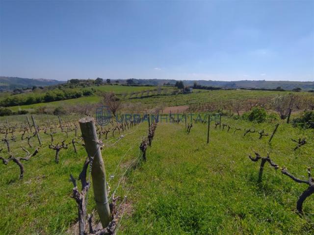 Terrenos Aldeia Gavinha Alenquer 2580 DLS102731332