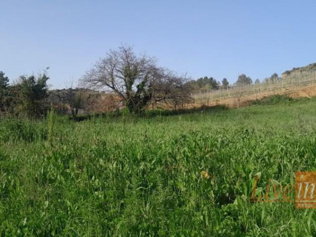Terrenos Alenquer Alenquer DLS89447505