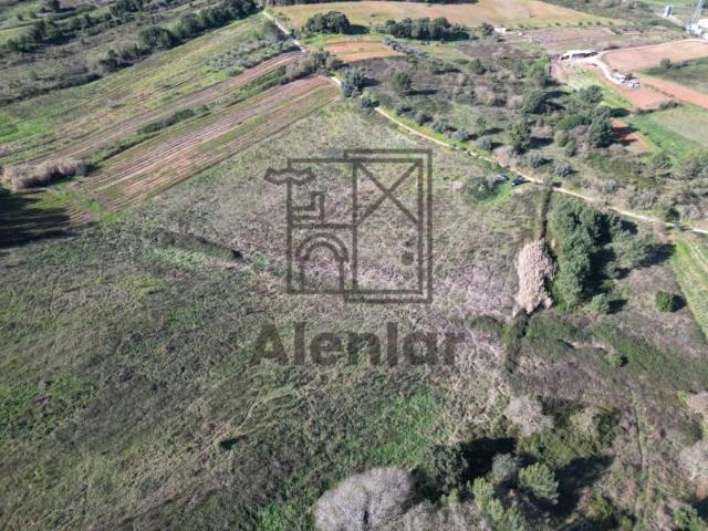 Terrenos Alenquer Alenquer DLS93980696