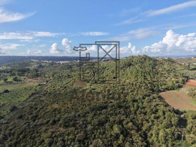 Terrenos Alenquer Alenquer DLS97115726