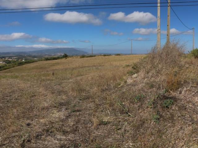 Terrenos Alenquer Alenquer DLS97119077