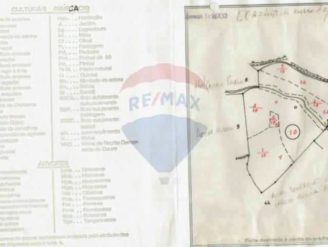 Terrenos Alenquer Alenquer DS100129005