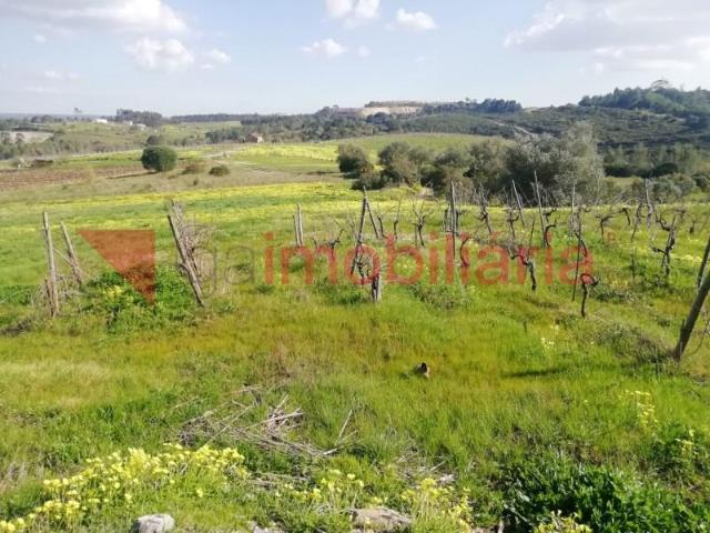 Terrenos Alenquer Alenquer DS101452515
