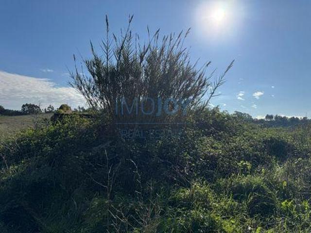 Terrenos Alenquer Lisboa 2580 121 DLS97111547