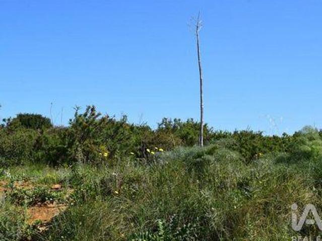 Terrenos Alenquer Lisboa DS94656964