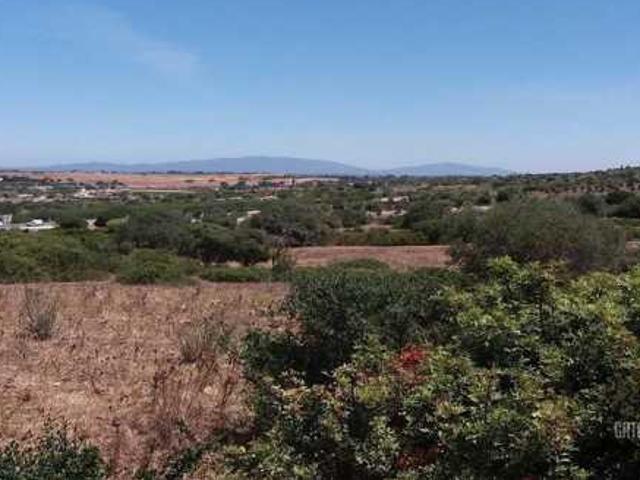 Terrenos Algarve West Algarve West DS89721185