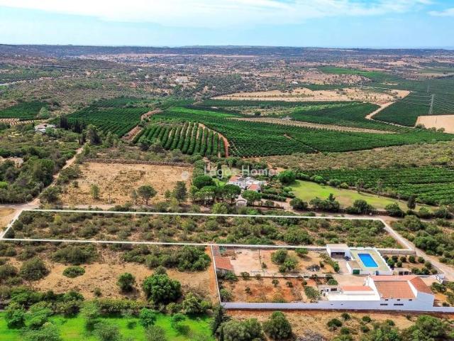 Terrenos Algoz Algarve DS95767009