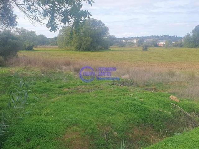 Terrenos Algoz Algarve DS97710924