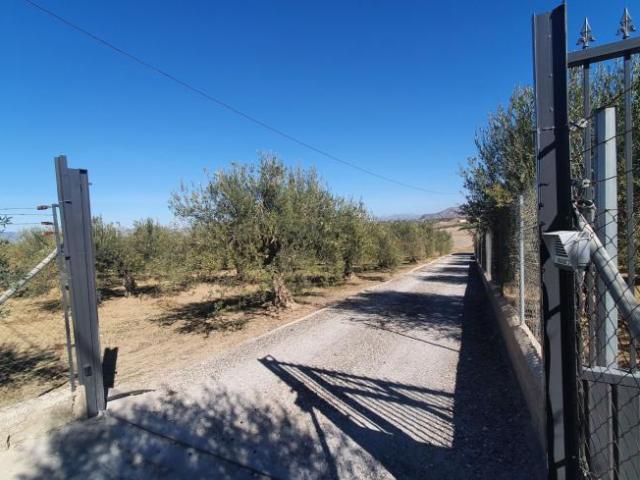 Terrenos Alhaurín El Grande Málaga 85464633