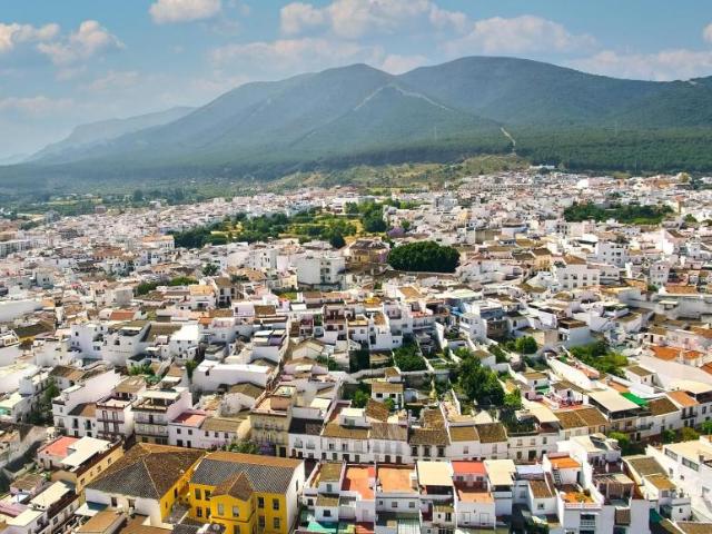 Terrenos Alhaurín El Grande Málaga 85464643