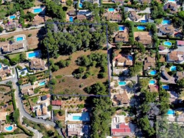 Terrenos Alicante Alicante 101186841
