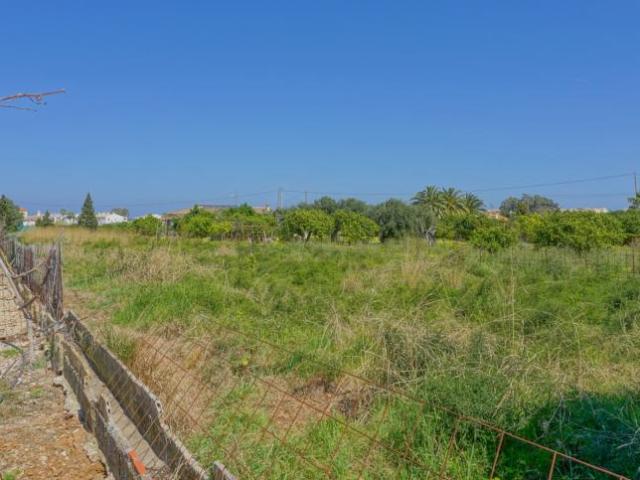Terrenos Alicante Alicante 101398224