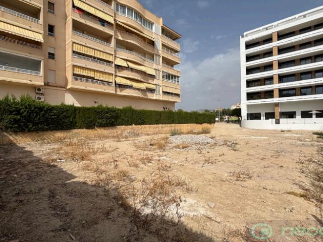 Terrenos Alicante Communidad Valencia 94720418