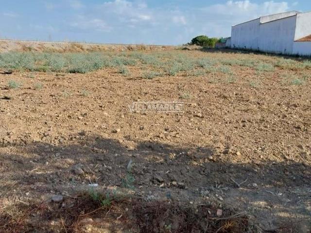 Terrenos Aljustrel Beja DLS70003123