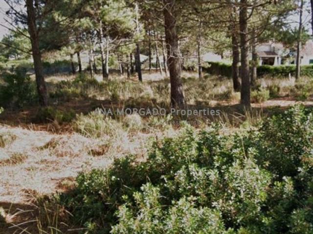 Terrenos Aljezur Algarve DLS94721237