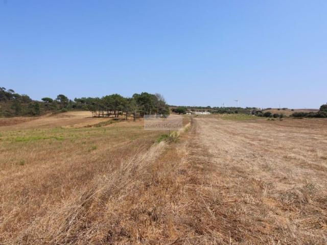 Terrenos Aljezur Algarve DLS96931424