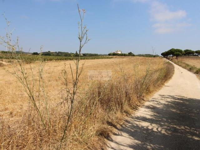 Terrenos Aljezur Algarve DLS96931426