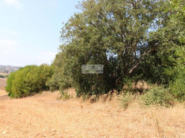 Terrenos Aljezur Algarve DLS96931428