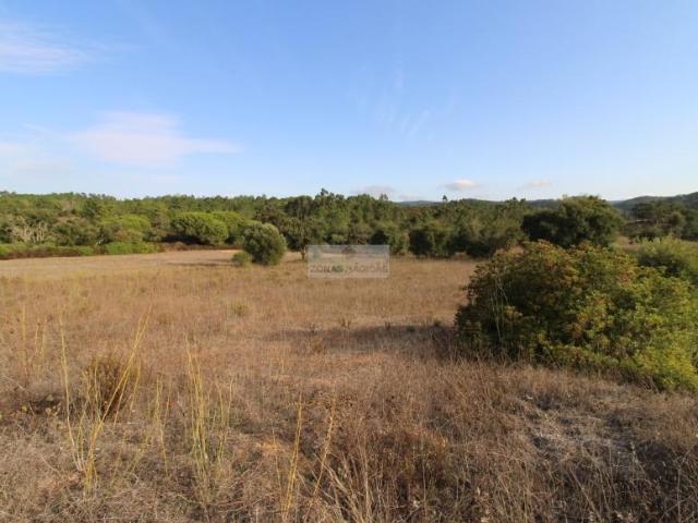 Terrenos Aljezur Algarve DLS96931451