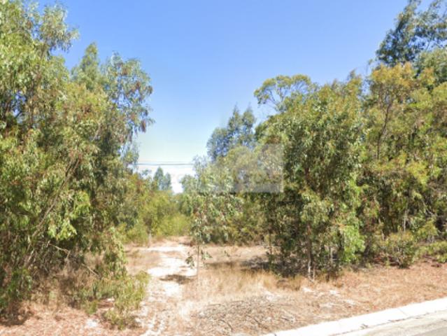 Terrenos Aljezur Algarve DLS96931342