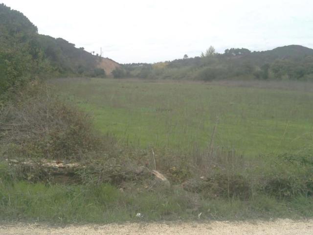 Terrenos Aljezur Algarve DLS99722977