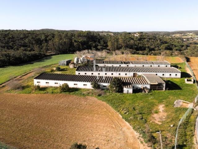 Terrenos Aljezur Algarve DS42505992