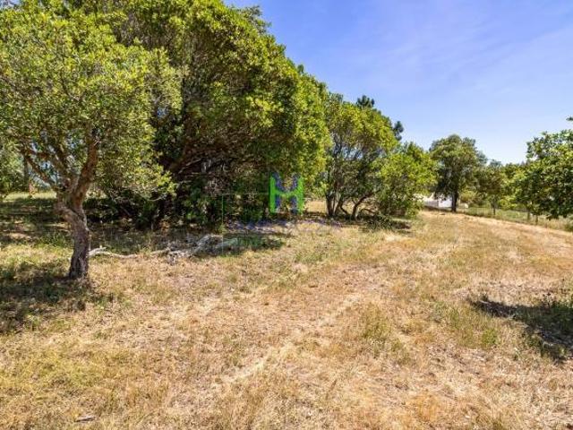 Terrenos Aljezur Algarve DS49720176