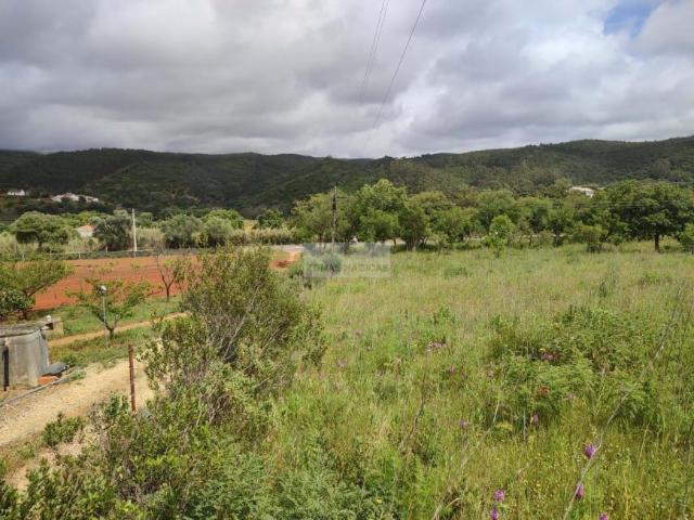 Terrenos Aljezur Algarve DS75692424