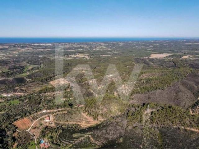 Terrenos Aljezur Algarve DS79782198