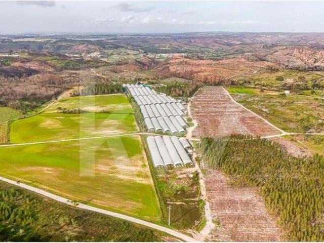 Terrenos Aljezur Algarve DS79782200