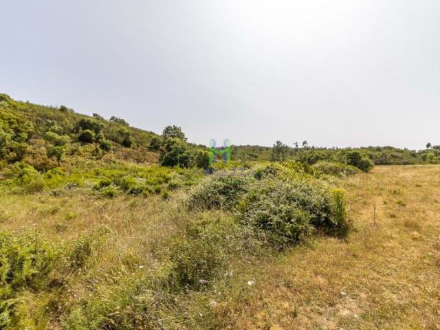 Terrenos Aljezur Algarve DS92745791