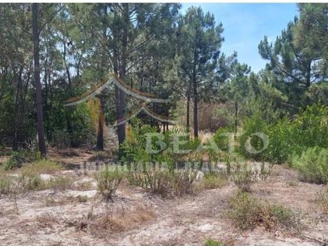 Terrenos Aljezur Aljezur DS87077506