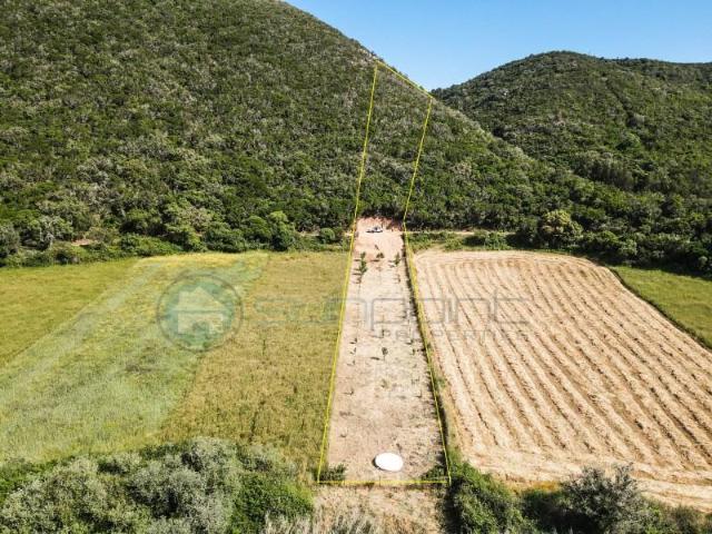 Terrenos Aljezur Aljezur DS91853081