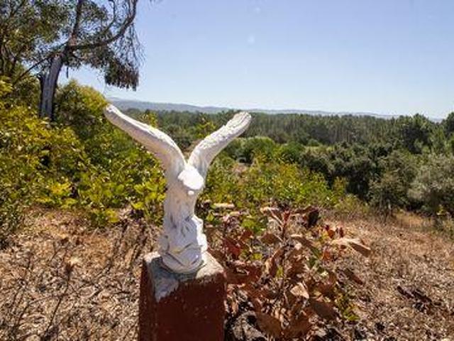 Terrenos Aljezur Faro DS98366710