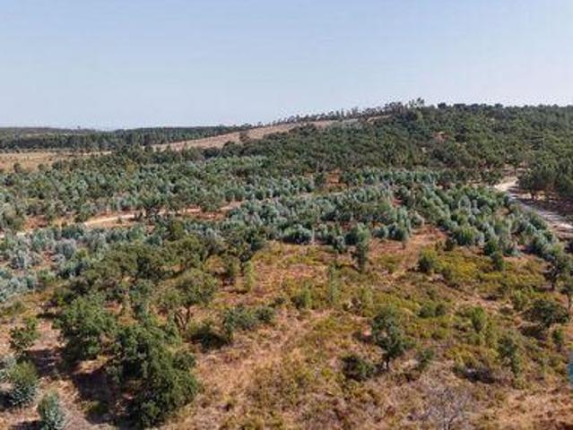Terrenos Alpiarca Santarem DLS95011984