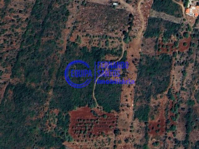 Terrenos Alte Algarve DLS75167872