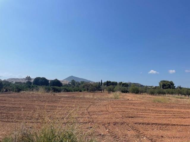 Terrenos Altea Alicante 99035842